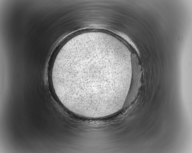 X0000087640972200705311324