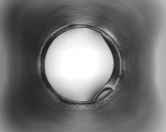 X0000087640976200705311323