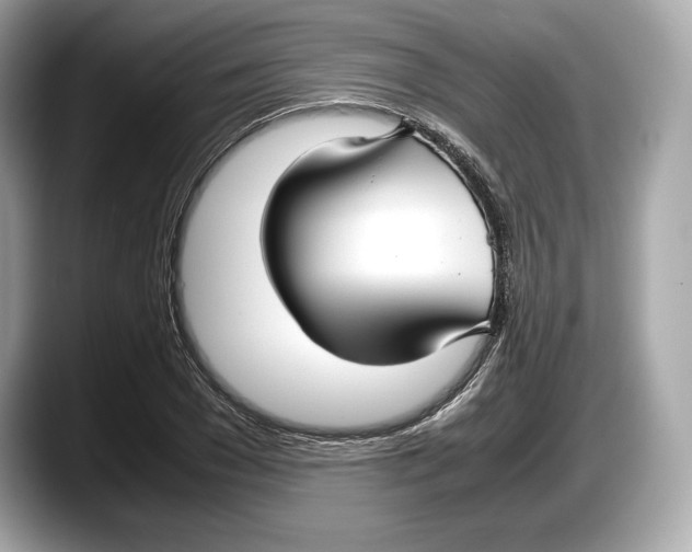 X0000087640977200705311323