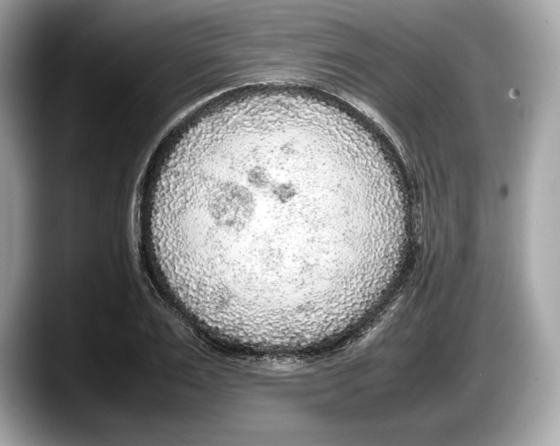 X0000087640983200705311323