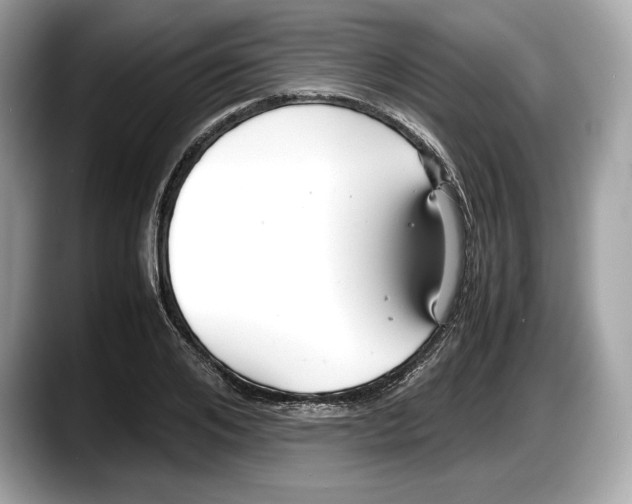 X0000087640984200705311323