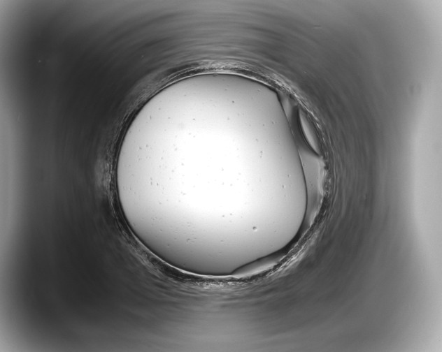 X0000087640985200705311323