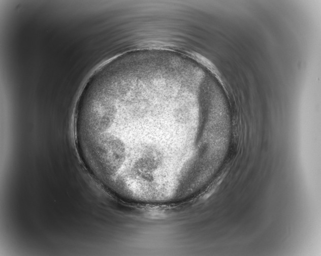 X0000087640987200705311323