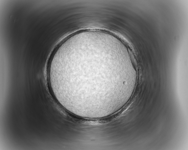 X0000087640990200705311323