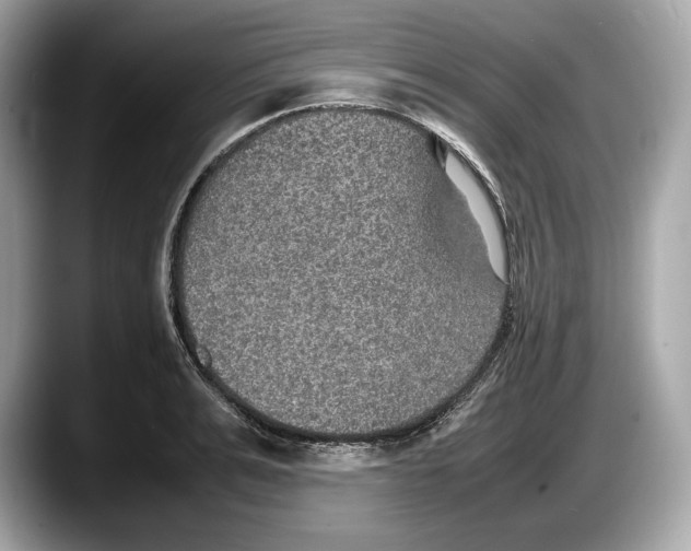 X0000087640991200705311323