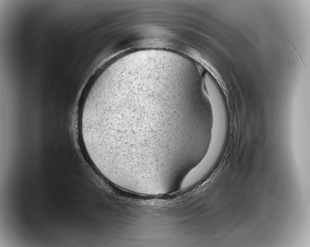 X0000087640992200705311323