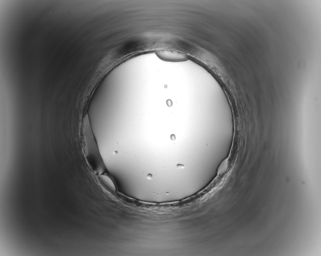 X0000087640993200705311323