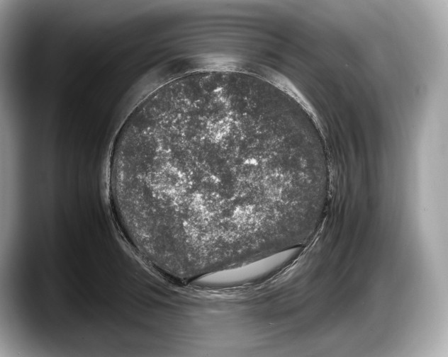 X0000087640994200705311323