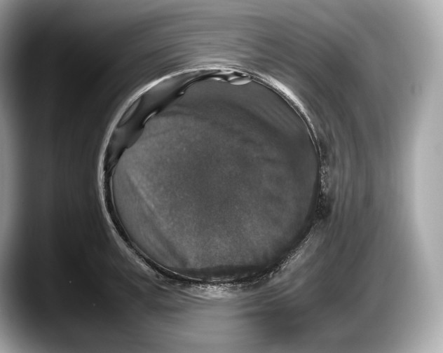 X0000087640995200705311323