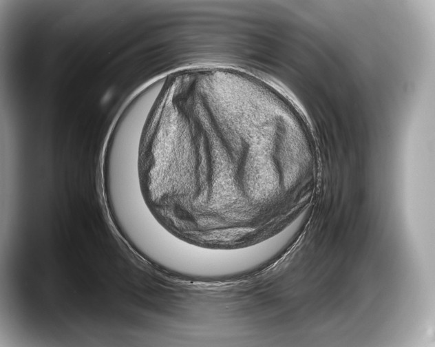 X0000087640996200705311323