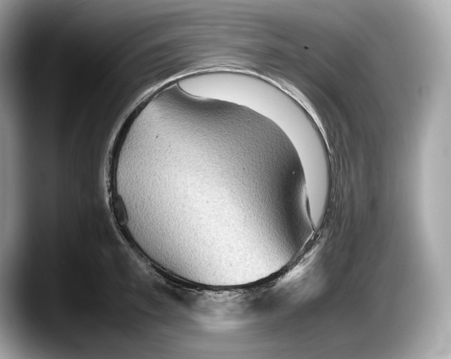 X0000087640997200705311323