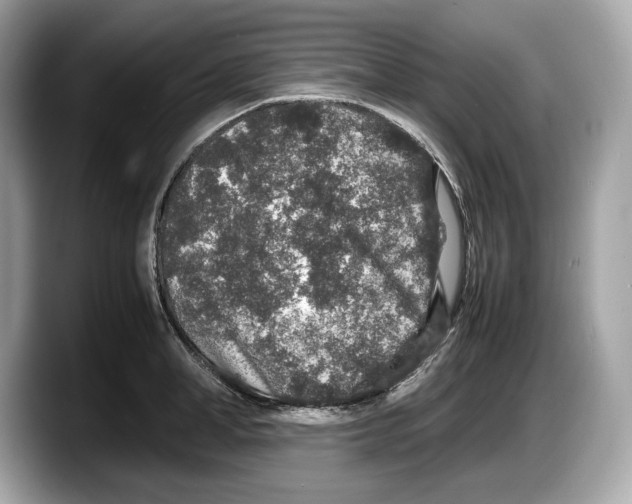 X0000087640998200705311323