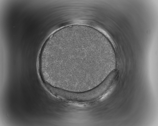 X0000087640999200705311323