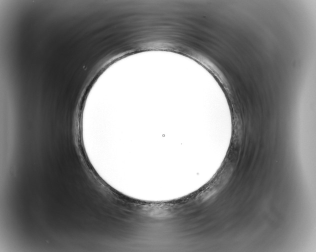 X0000087641000200705311323