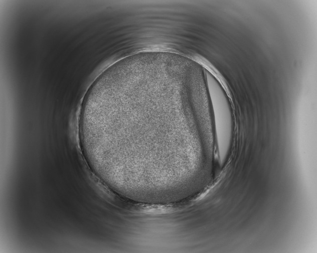 X0000087641002200705311323