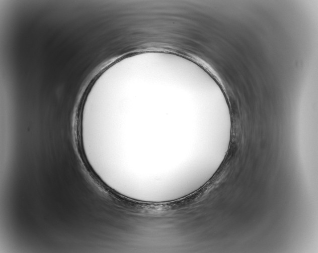 X0000087641003200705311323