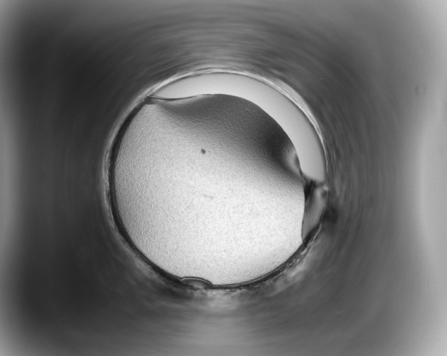 X0000087641005200705311323