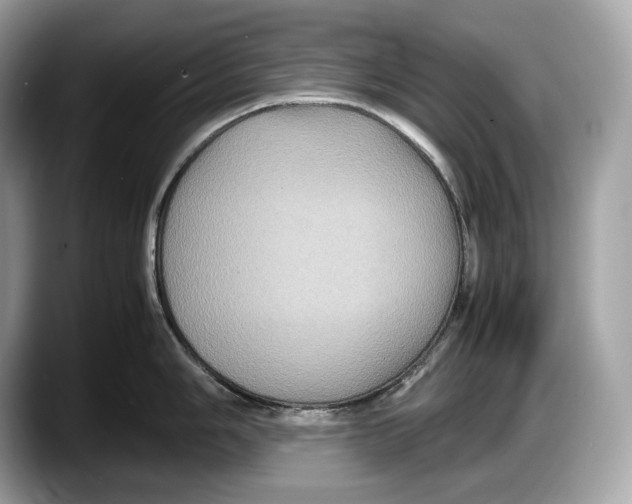 X0000087641006200705311323