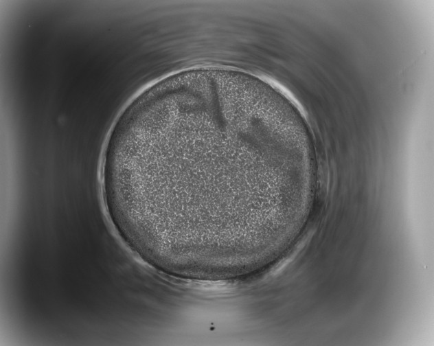 X0000087641007200705311323