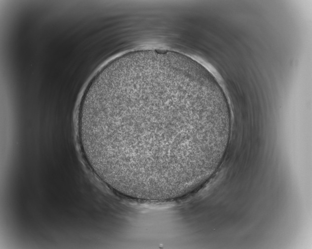 X0000087641008200705311323