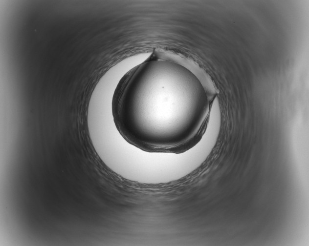 X0000087641010200705311322