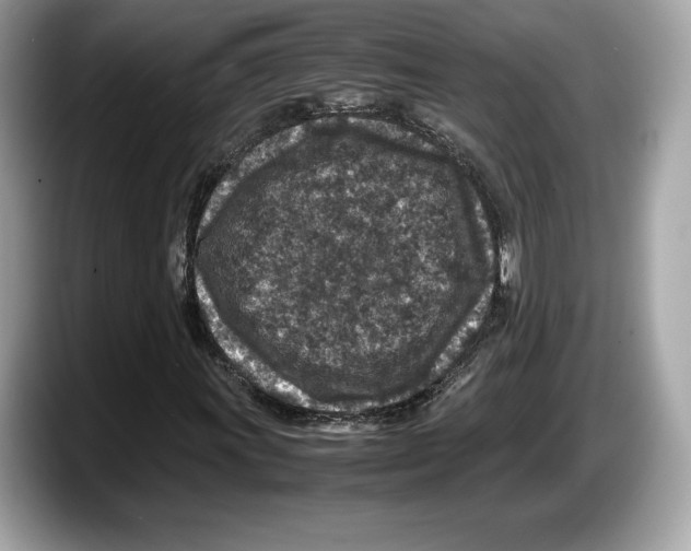 X0000087641011200705311322