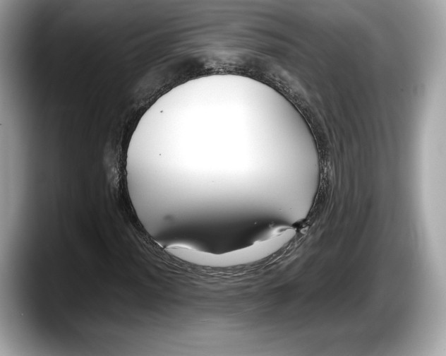 X0000087641012200705311322