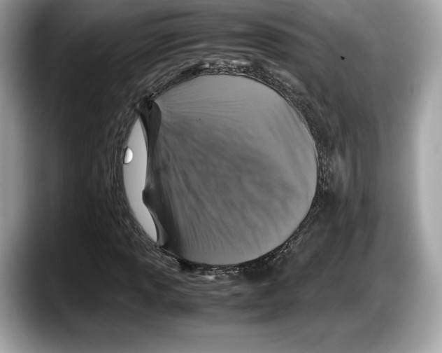 X0000087641013200705311322