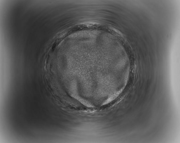 X0000087641014200705311322