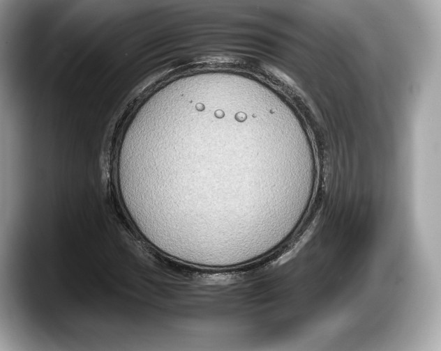 X0000087641017200705311322