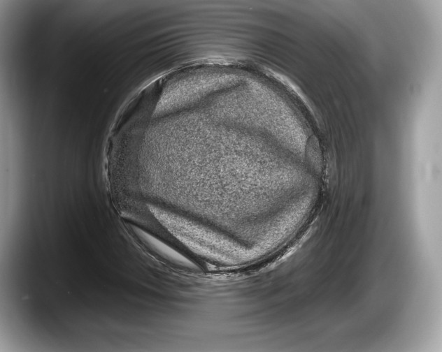 X0000087641018200705311322