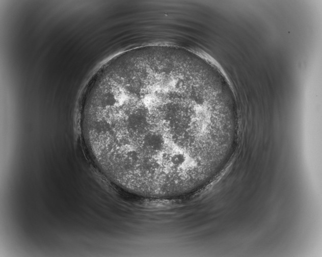 X0000087641019200705311322