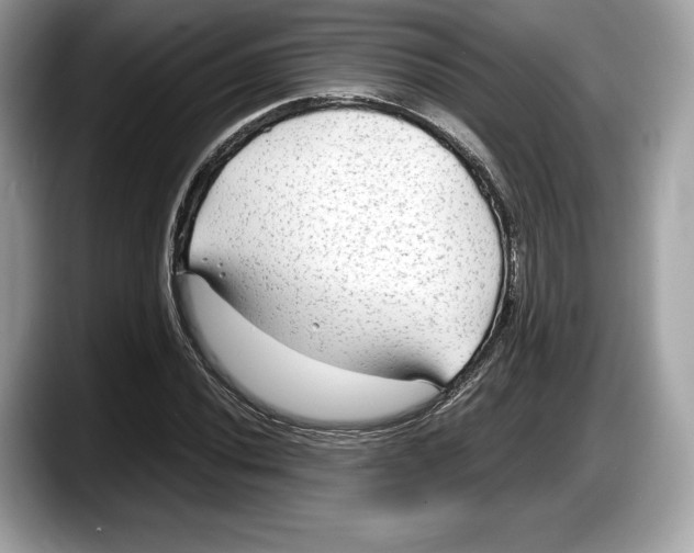 X0000087641020200705311322