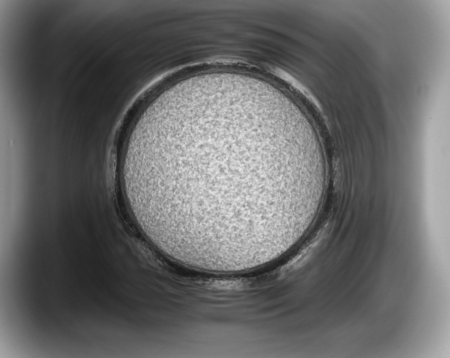 X0000087641021200705311322