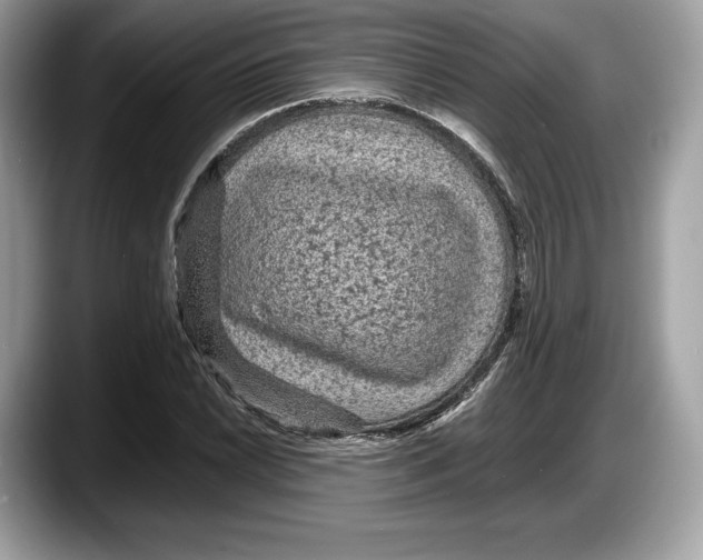 X0000087641022200705311322