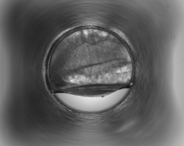 X0000087641024200705311322