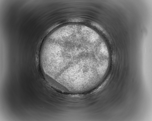 X0000087641025200705311322