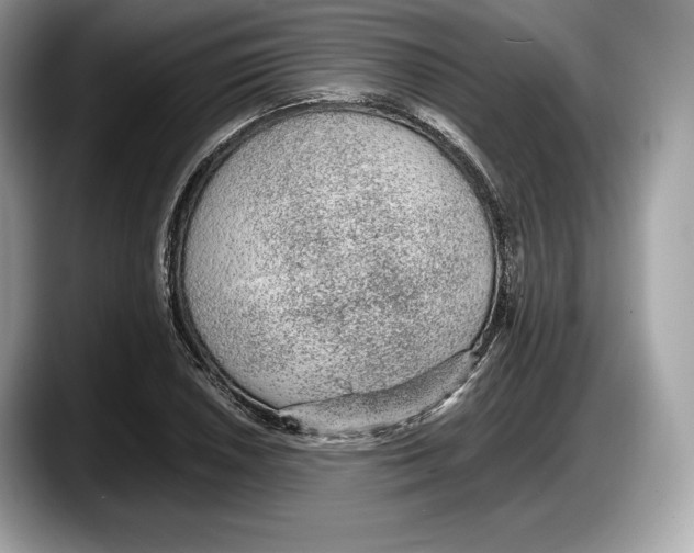 X0000087641026200705311322