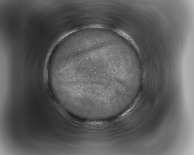 X0000087641027200705311322