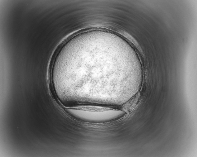 X0000087641028200705311322