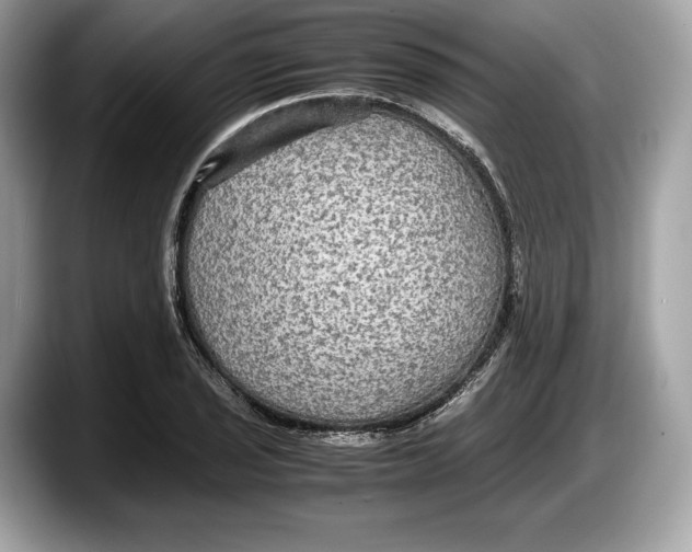 X0000087641029200705311322