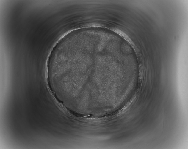 X0000087641031200705311322