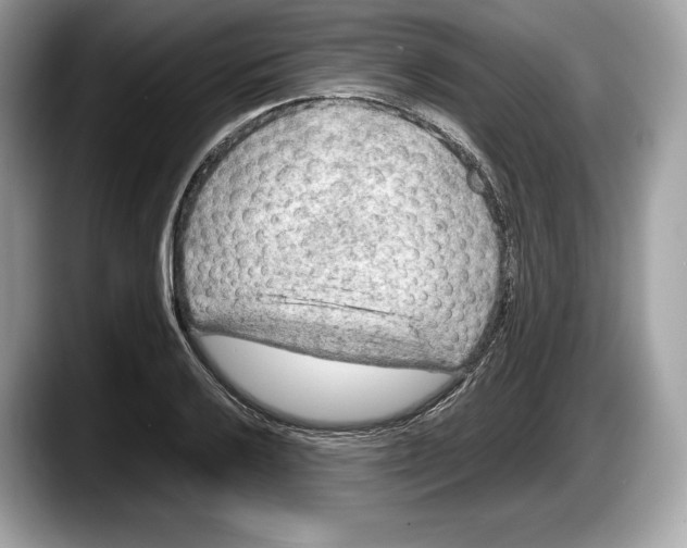 X0000087641032200705311322