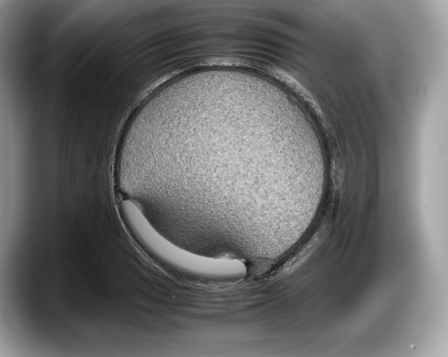 X0000087641033200705311322