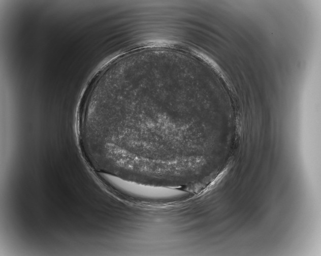 X0000087641034200705311322