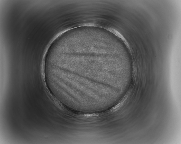 X0000087641035200705311322