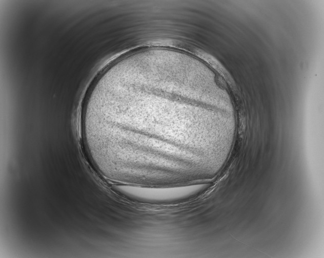 X0000087641036200705311323