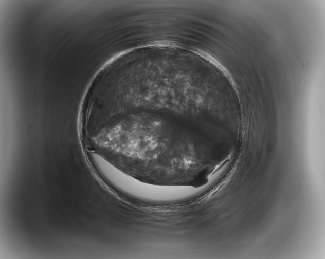 X0000087641037200705311323