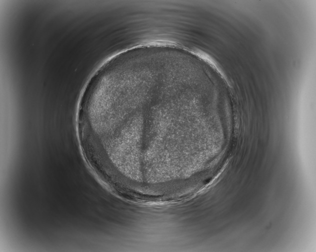 X0000087641038200705311323