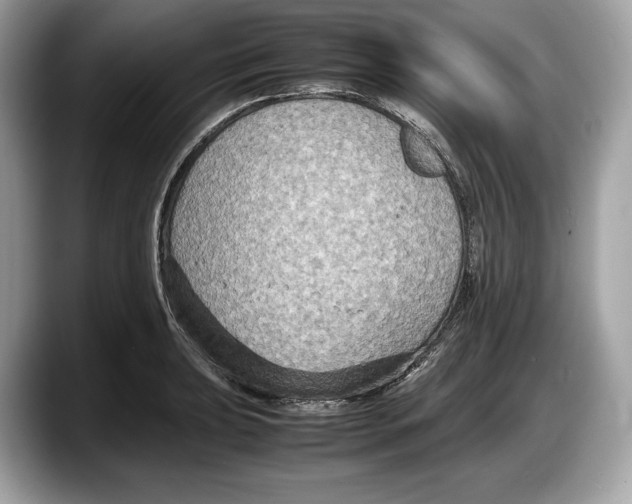 X0000087641039200705311323